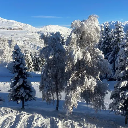 Genepi *